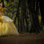 Before Frameworks, There Were Fairytales