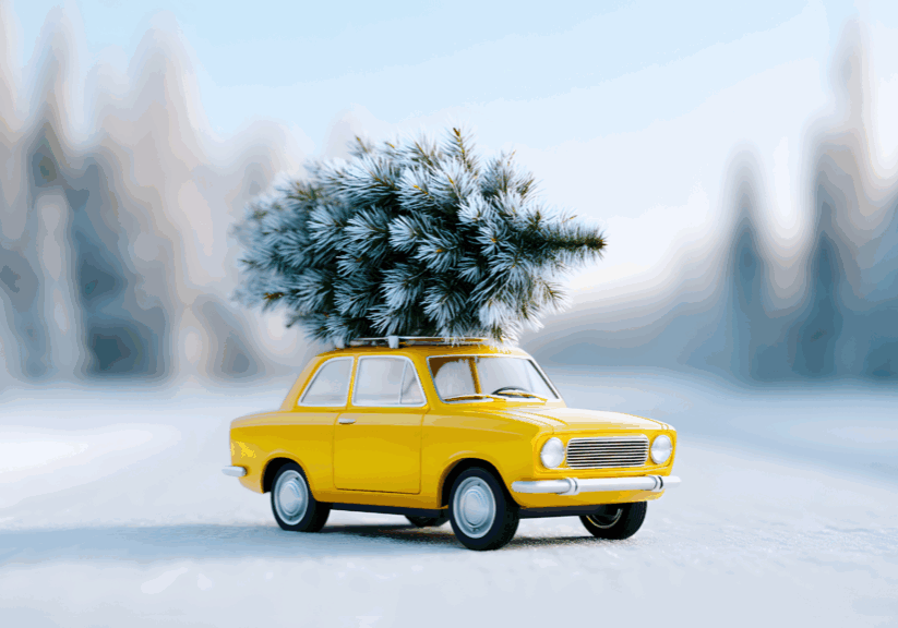 Untitled design (38)